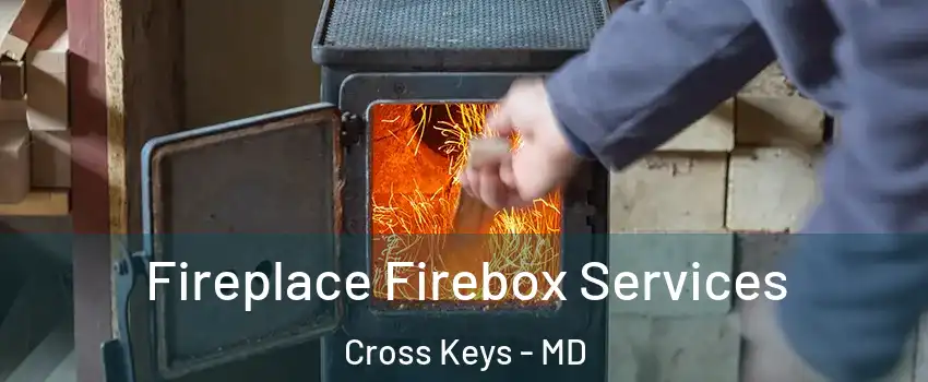 Fireplace Firebox Services Cross Keys - MD