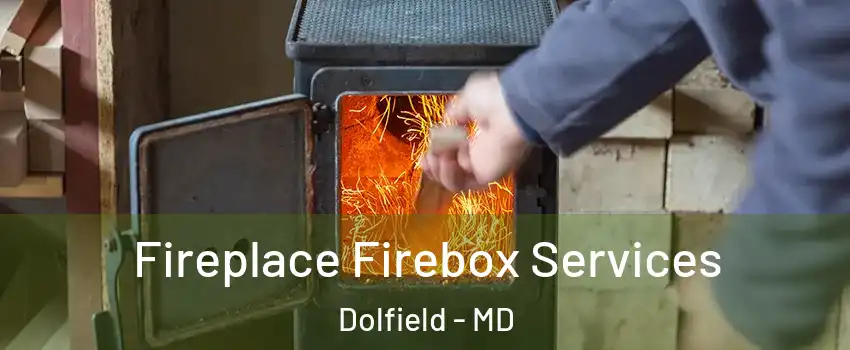 Fireplace Firebox Services Dolfield - MD