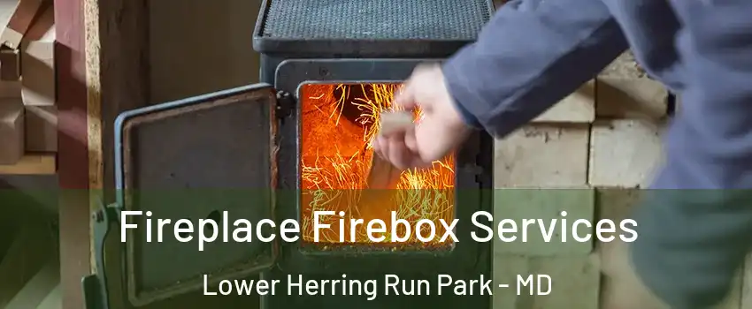 Fireplace Firebox Services Lower Herring Run Park - MD