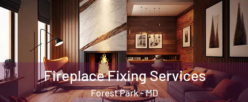 Fireplace Fixing Services Forest Park - MD