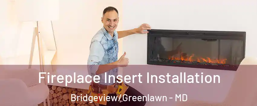 Fireplace Insert Installation Bridgeview/Greenlawn - MD