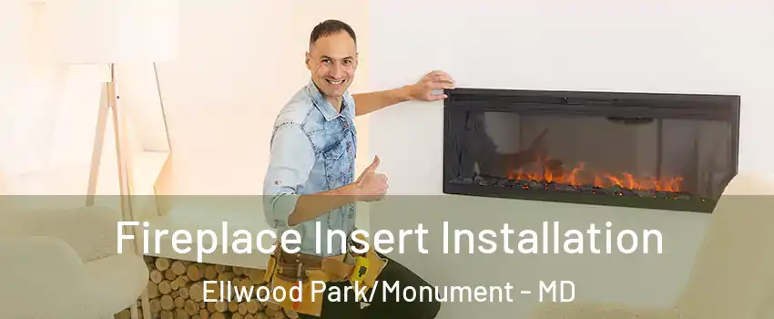 Fireplace Insert Installation Ellwood Park/Monument - MD