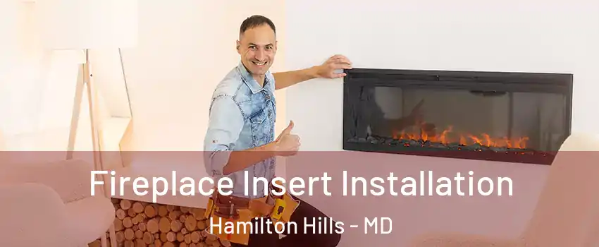 Fireplace Insert Installation Hamilton Hills - MD