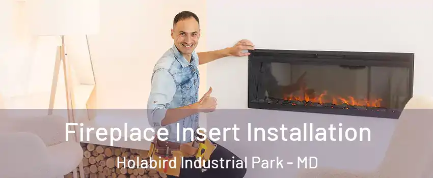 Fireplace Insert Installation Holabird Industrial Park - MD