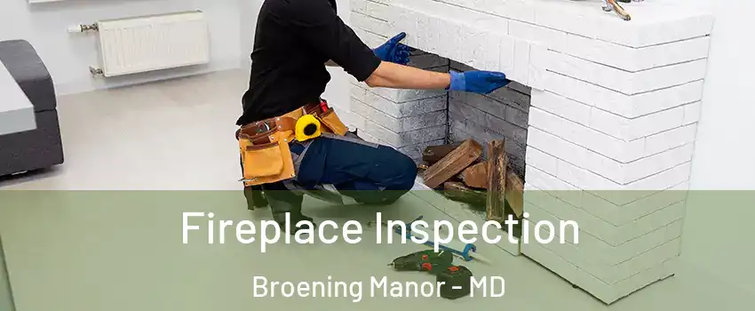 Fireplace Inspection Broening Manor - MD