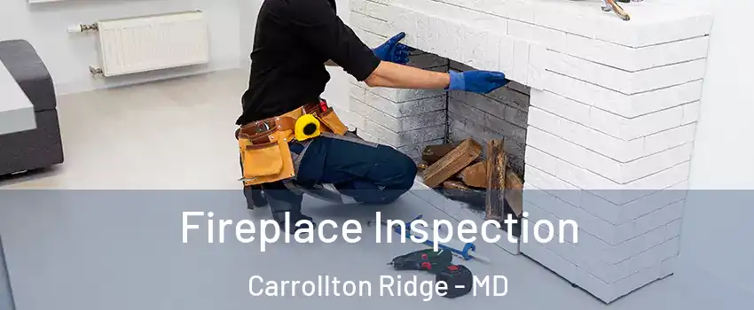 Fireplace Inspection Carrollton Ridge - MD