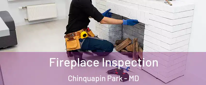 Fireplace Inspection Chinquapin Park - MD