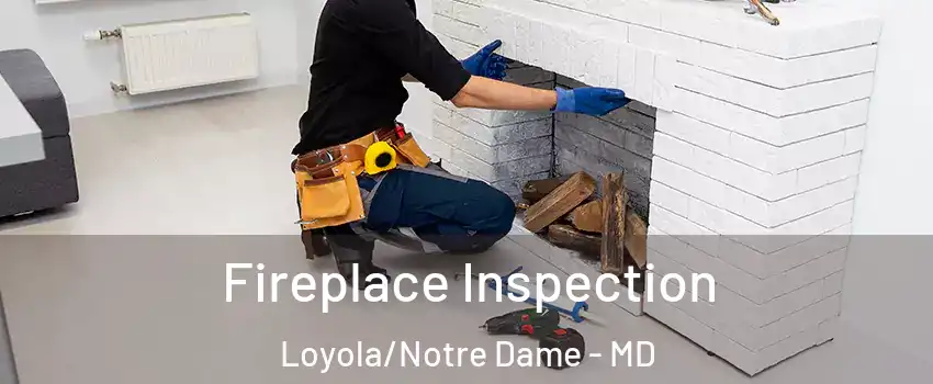 Fireplace Inspection Loyola/Notre Dame - MD