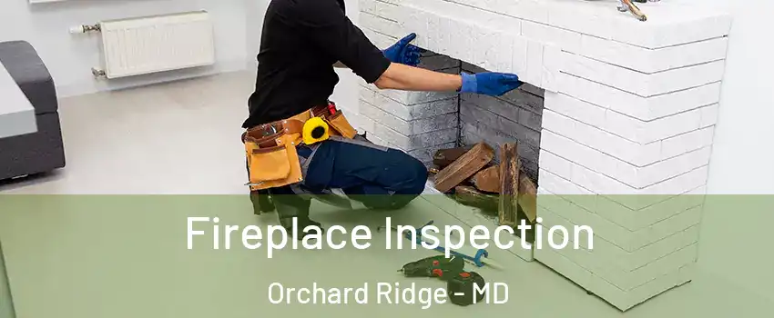 Fireplace Inspection Orchard Ridge - MD