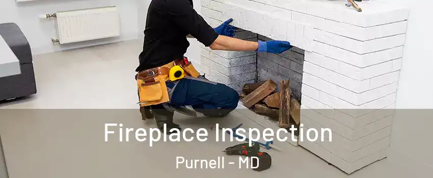 Fireplace Inspection Purnell - MD