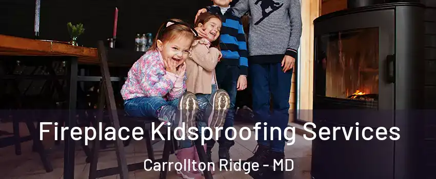 Fireplace Kidsproofing Services Carrollton Ridge - MD