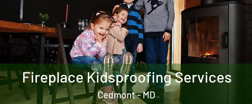 Fireplace Kidsproofing Services Cedmont - MD