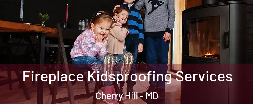 Fireplace Kidsproofing Services Cherry Hill - MD