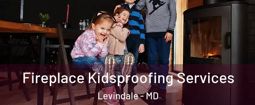 Fireplace Kidsproofing Services Levindale - MD