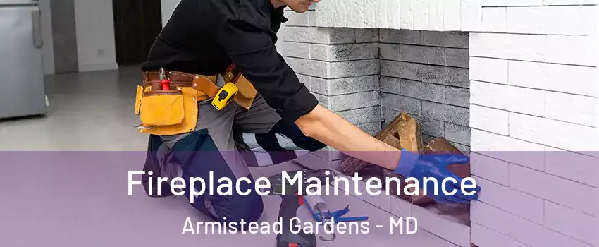 Fireplace Maintenance Armistead Gardens - MD