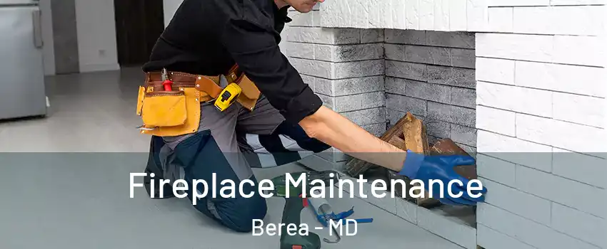 Fireplace Maintenance Berea - MD