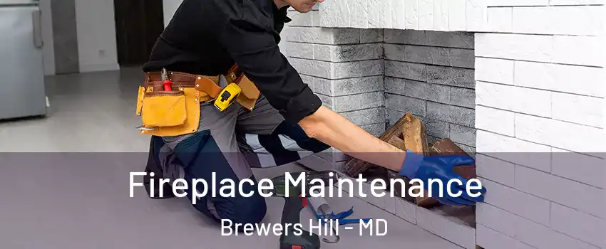 Fireplace Maintenance Brewers Hill - MD