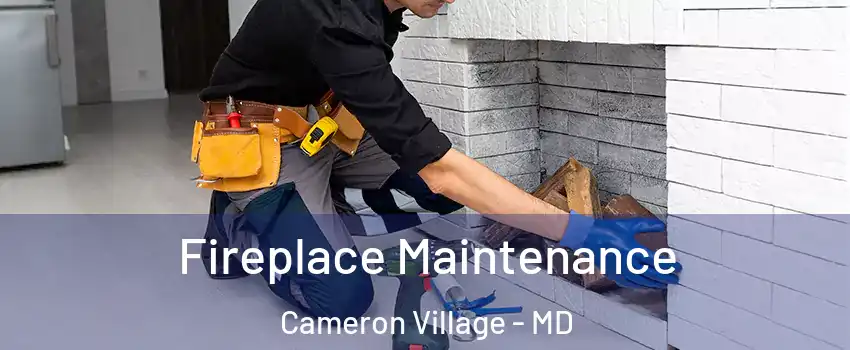 Fireplace Maintenance Cameron Village - MD