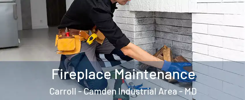 Fireplace Maintenance Carroll - Camden Industrial Area - MD