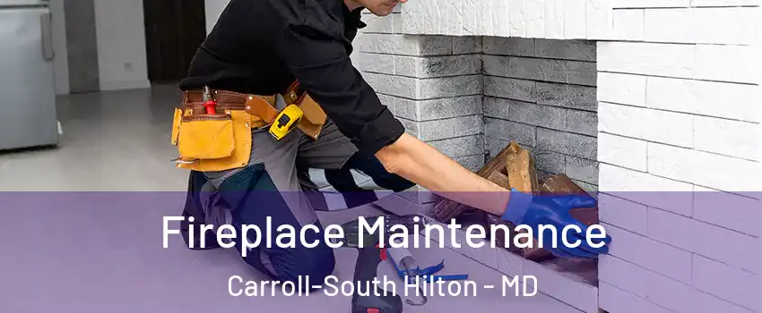 Fireplace Maintenance Carroll-South Hilton - MD