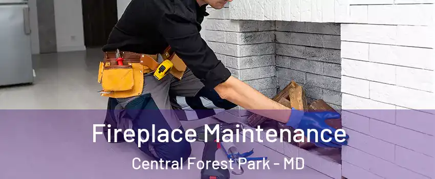 Fireplace Maintenance Central Forest Park - MD