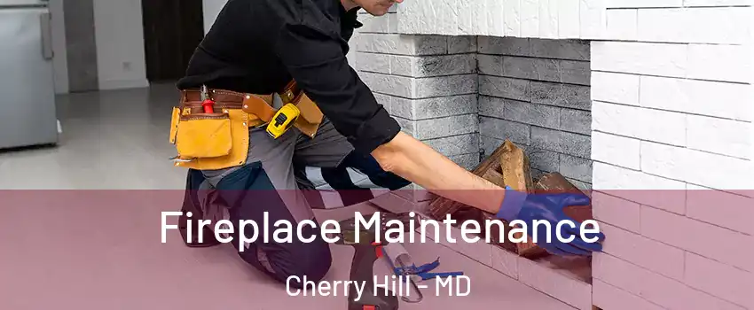 Fireplace Maintenance Cherry Hill - MD