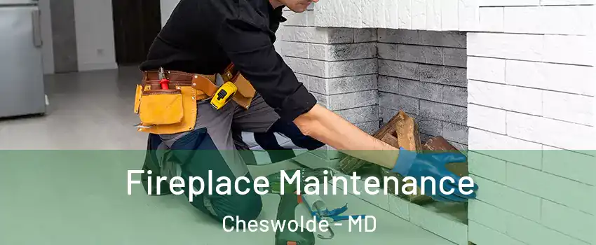 Fireplace Maintenance Cheswolde - MD