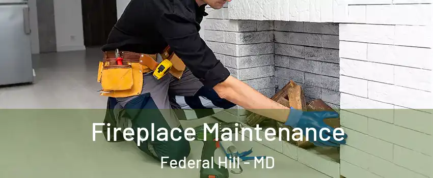 Fireplace Maintenance Federal Hill - MD