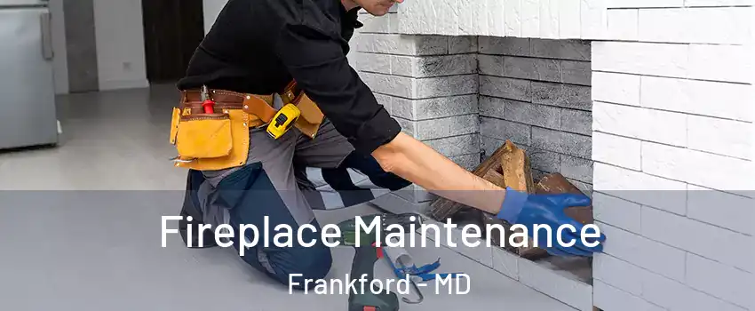 Fireplace Maintenance Frankford - MD