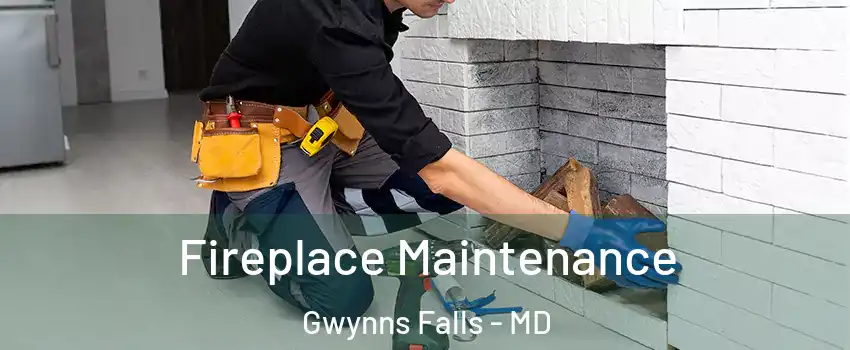 Fireplace Maintenance Gwynns Falls - MD