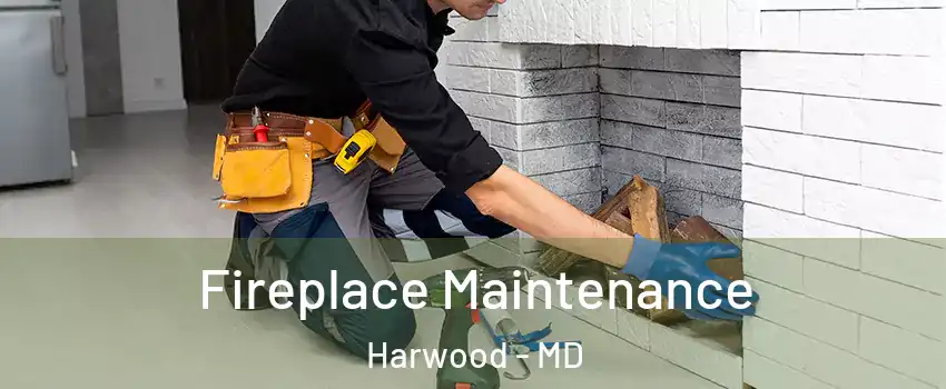 Fireplace Maintenance Harwood - MD