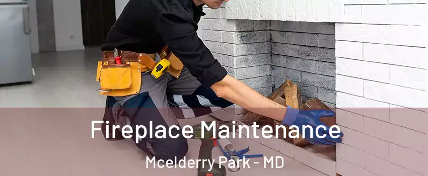 Fireplace Maintenance Mcelderry Park - MD