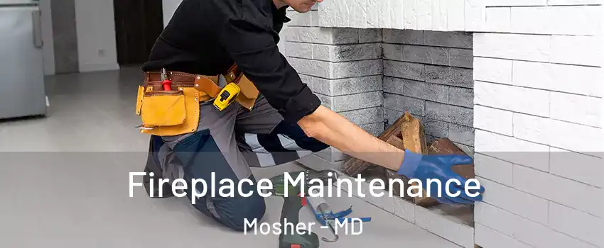 Fireplace Maintenance Mosher - MD