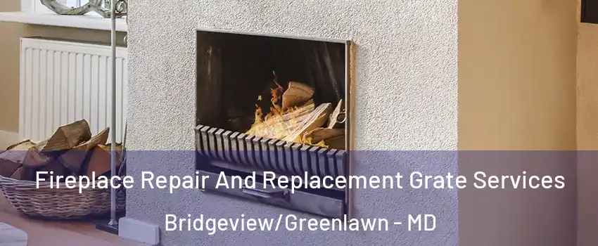 Fireplace Repair And Replacement Grate Services Bridgeview/Greenlawn - MD