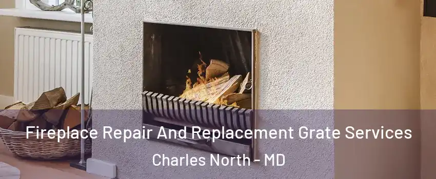 Fireplace Repair And Replacement Grate Services Charles North - MD