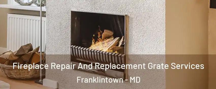 Fireplace Repair And Replacement Grate Services Franklintown - MD