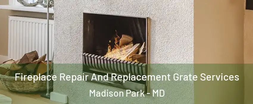 Fireplace Repair And Replacement Grate Services Madison Park - MD