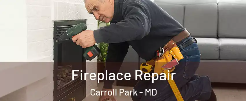 Fireplace Repair Carroll Park - MD