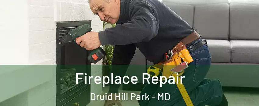 Fireplace Repair Druid Hill Park - MD