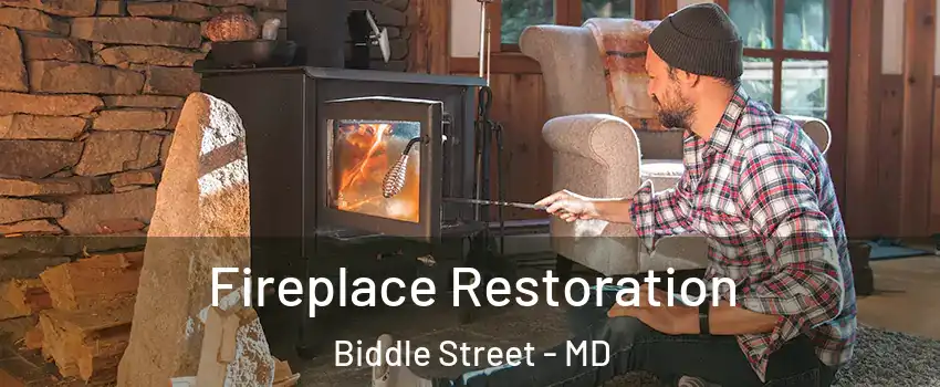 Fireplace Restoration Biddle Street - MD