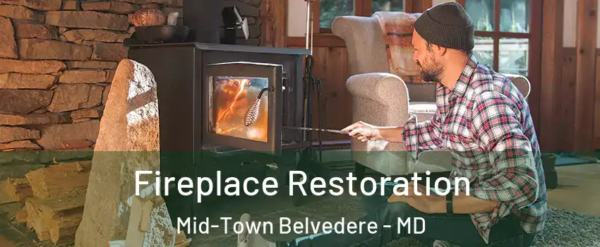 Fireplace Restoration Mid-Town Belvedere - MD