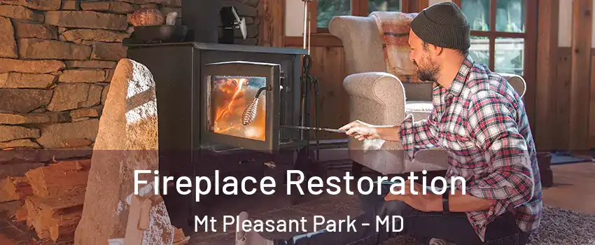 Fireplace Restoration Mt Pleasant Park - MD