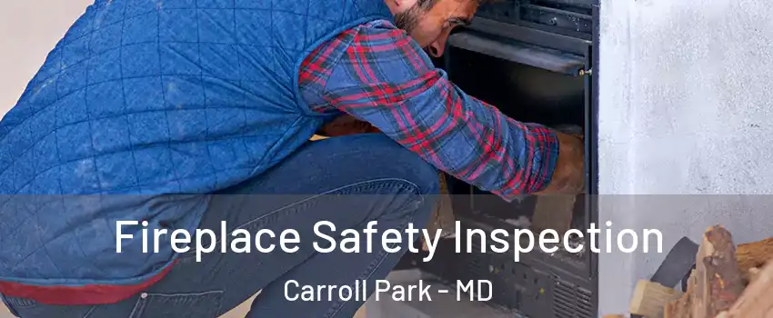 Fireplace Safety Inspection Carroll Park - MD