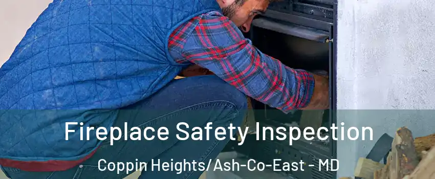 Fireplace Safety Inspection Coppin Heights/Ash-Co-East - MD