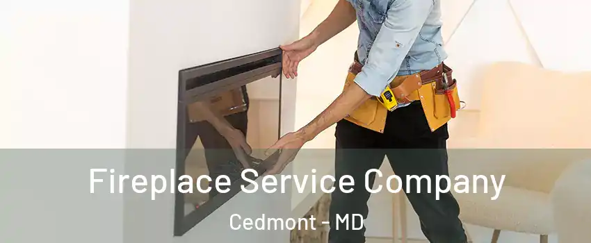 Fireplace Service Company Cedmont - MD