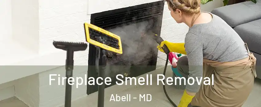 Fireplace Smell Removal Abell - MD