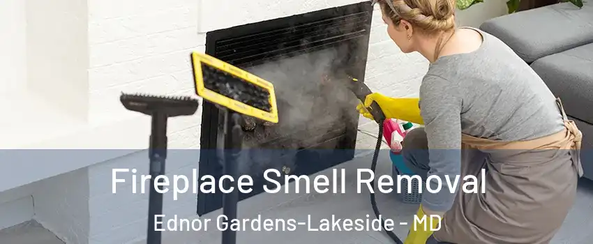 Fireplace Smell Removal Ednor Gardens-Lakeside - MD