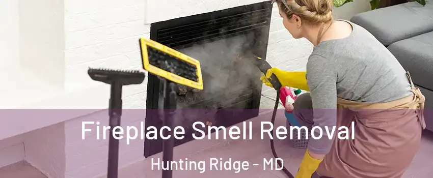 Fireplace Smell Removal Hunting Ridge - MD