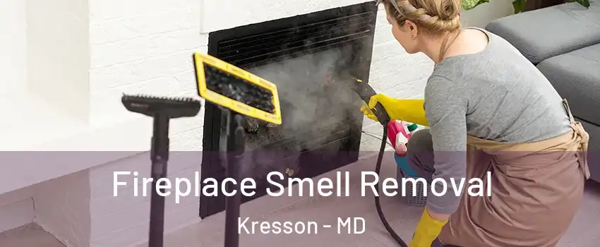 Fireplace Smell Removal Kresson - MD