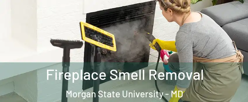 Fireplace Smell Removal Morgan State University - MD